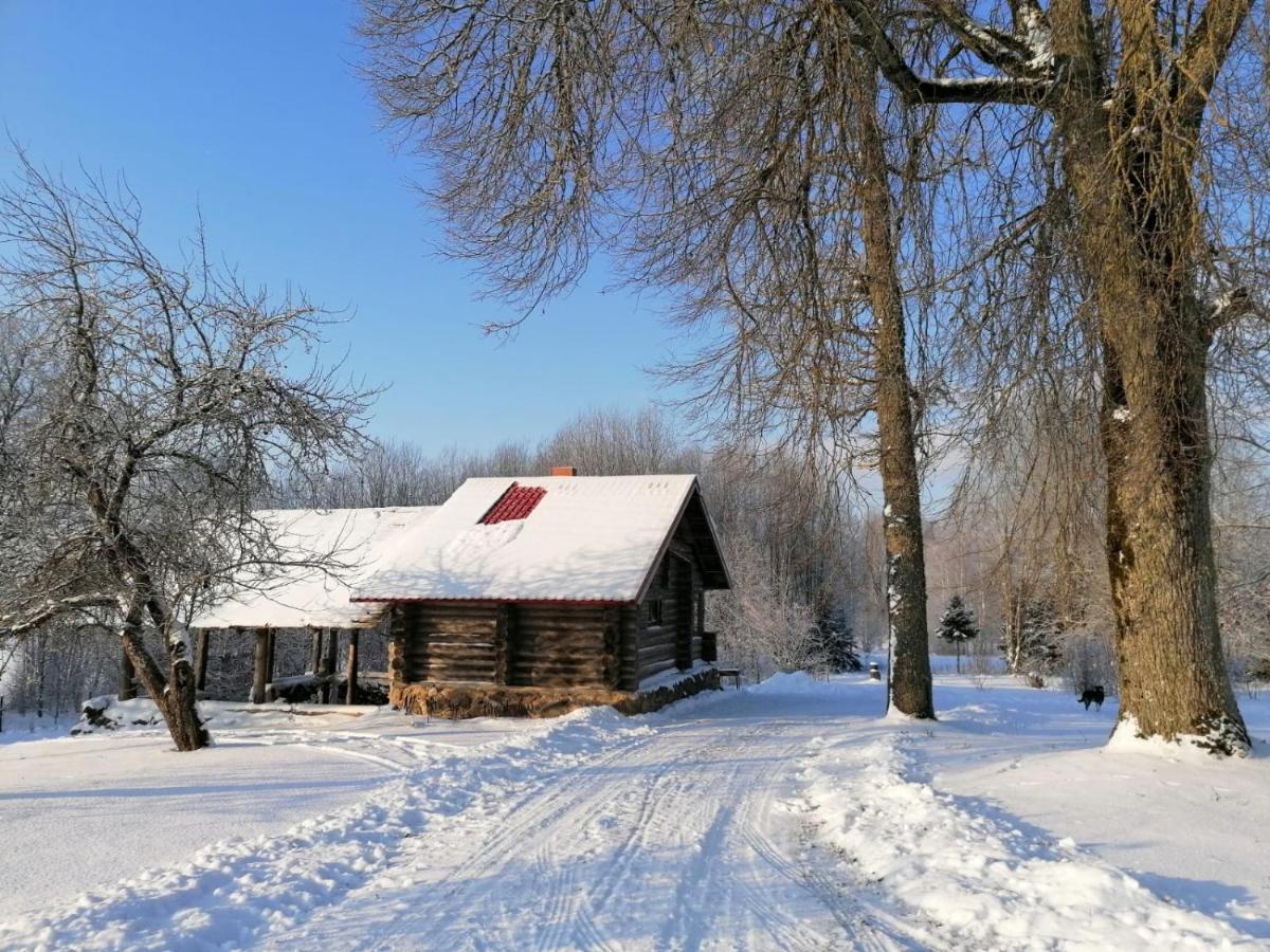 Country House Podini Mālpils Exterior foto
